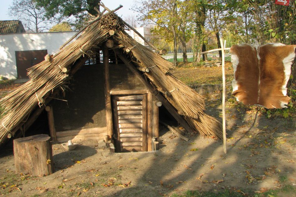 Zemplínske múzeum v Michalovciach, projekt výstavby slovanskej polozemnice