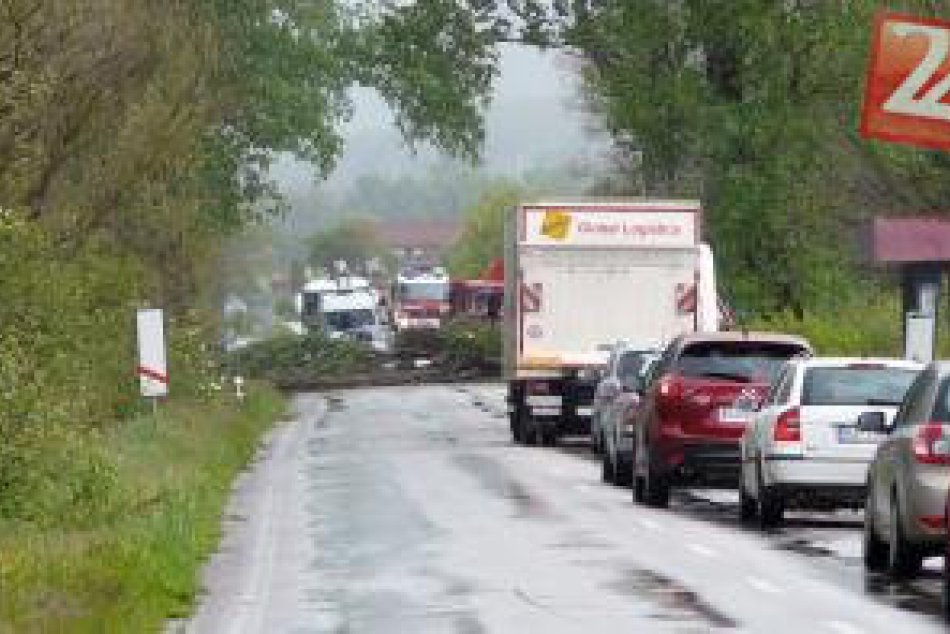 Popadané stromy 15.5.2014