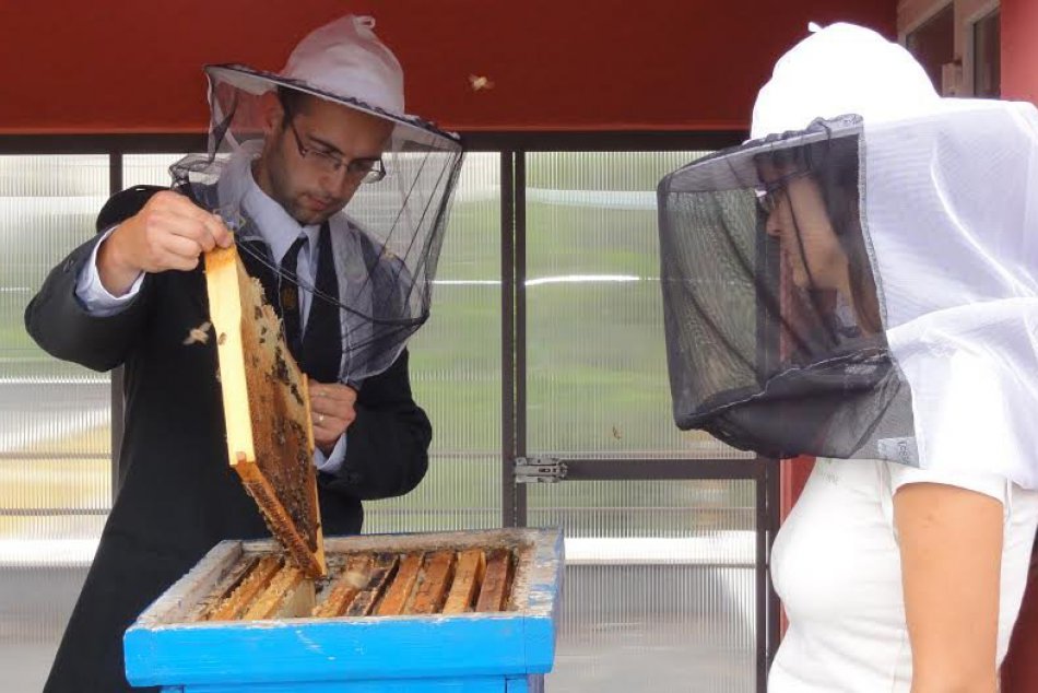 Budova NLC novým domovom pre približne 50 000 včiel