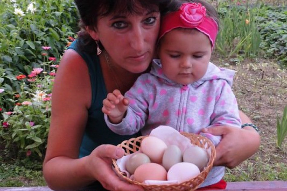19. augusta: Zelené vajíčka z Andíc