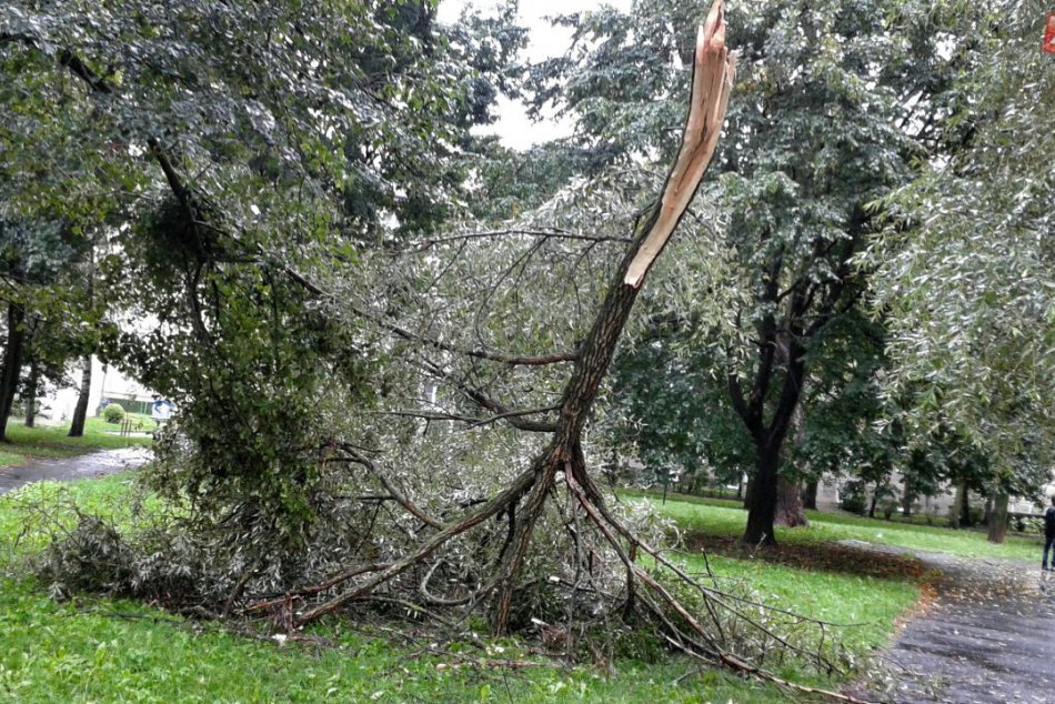 Tu mohlo dôjsť aj k zraneniu: Podpis počasia v parku na Sídlisku II