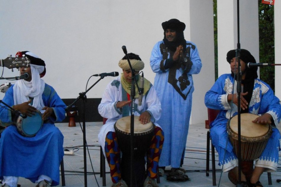 Kultúrne leto 2014 v Šali