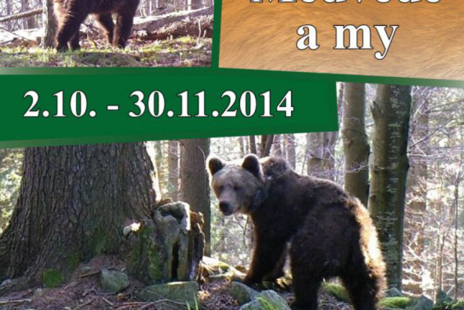 Výstava medvede a my v Banskej Bystrici