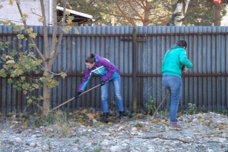 Študenti z Gymnázia na Ulici Dominika Tatarku v Poprade sa práce neboja: Senioro