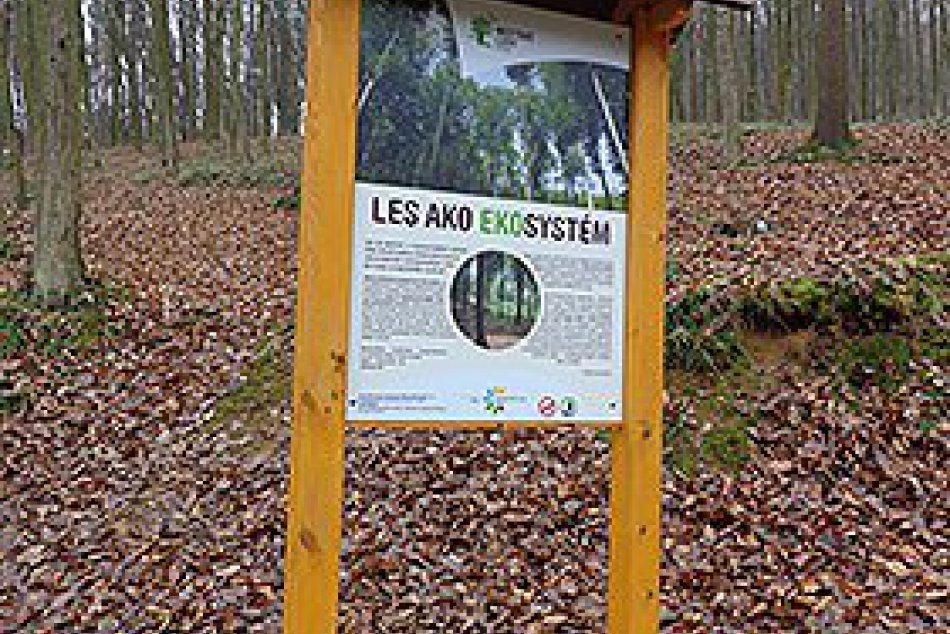 Novinka na Borkúte: Logo Mestských lesov a chodník!