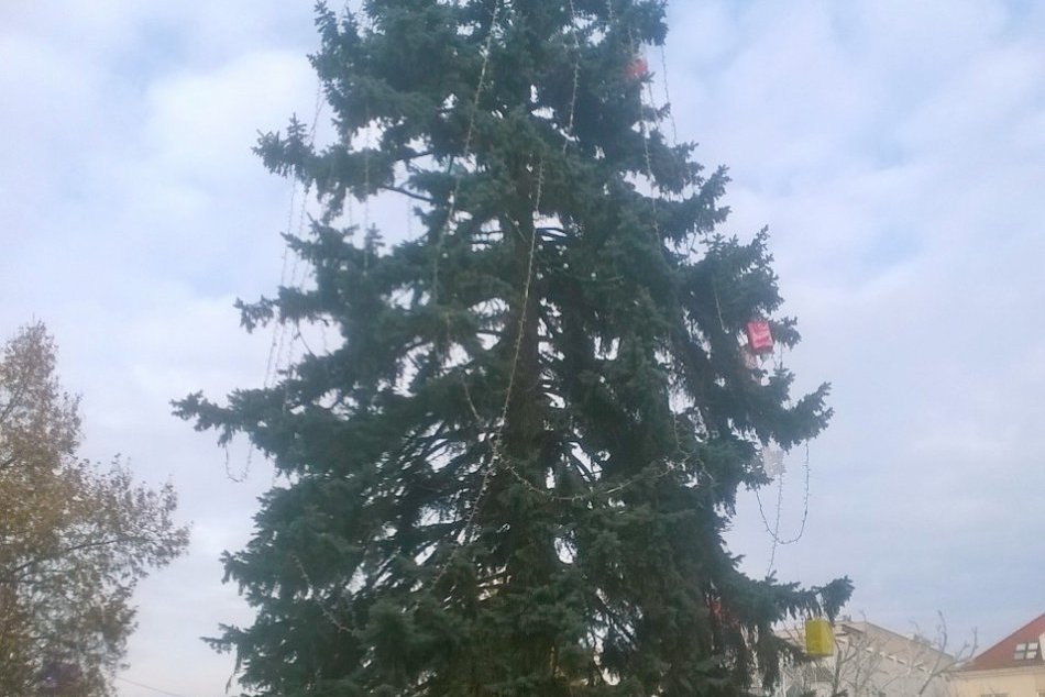 Vianočný stromček - Nové Zámky