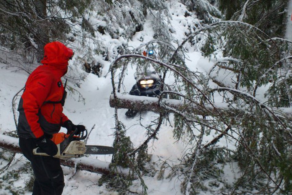 11. január 2015: Odstraňovanie popadaných stromov v Žiarskej doline po víchrici