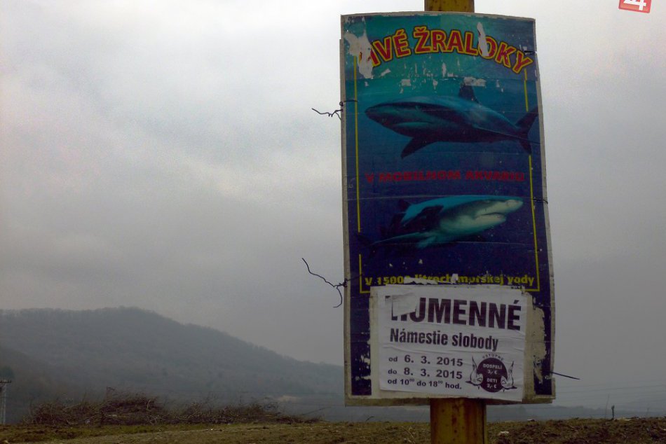 Do Humenného zavítajú živé žraloky