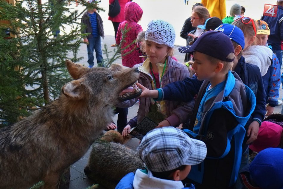 Centrum Kežmarku zaplnili lesníci: Učia deti vážiť si prírodu a zvieratá
