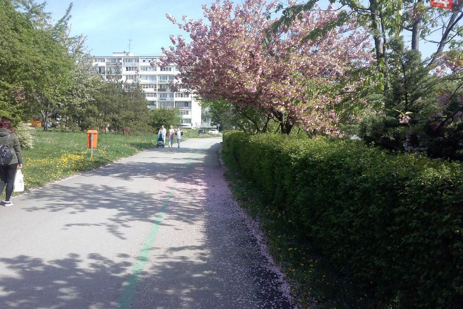 FOTO: Ulica doslova kvitnúca krásou: Aj takto vyzerá jar v Košiciach!