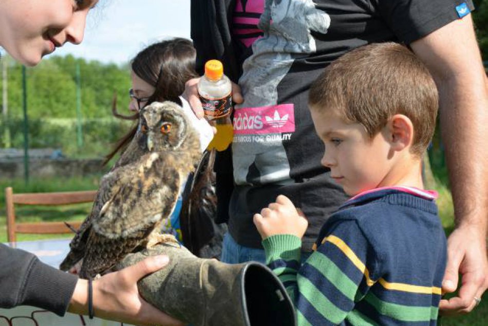 Tip na podujatie: Deň detí nielen pre Trnavčanov? Aha, čo všetko môžete zažiť!