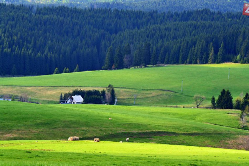 Krása zachytená romantickou dušou mladej fotografky