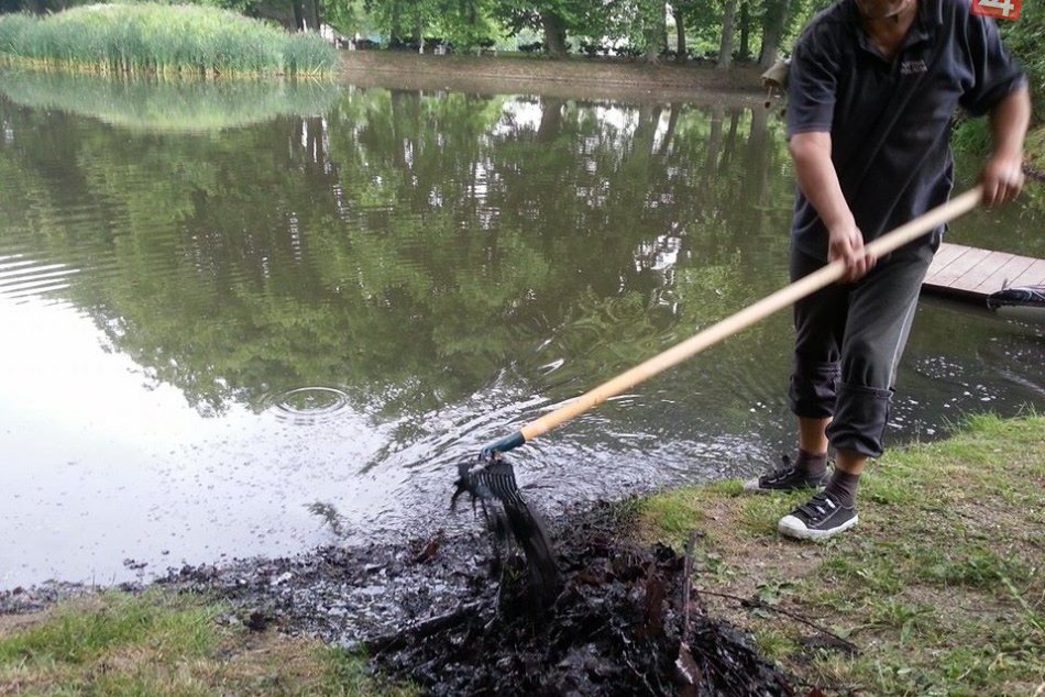 FOTO: Takto to vyzeralo počas čistenia jazierka v Zámockej záhrade!