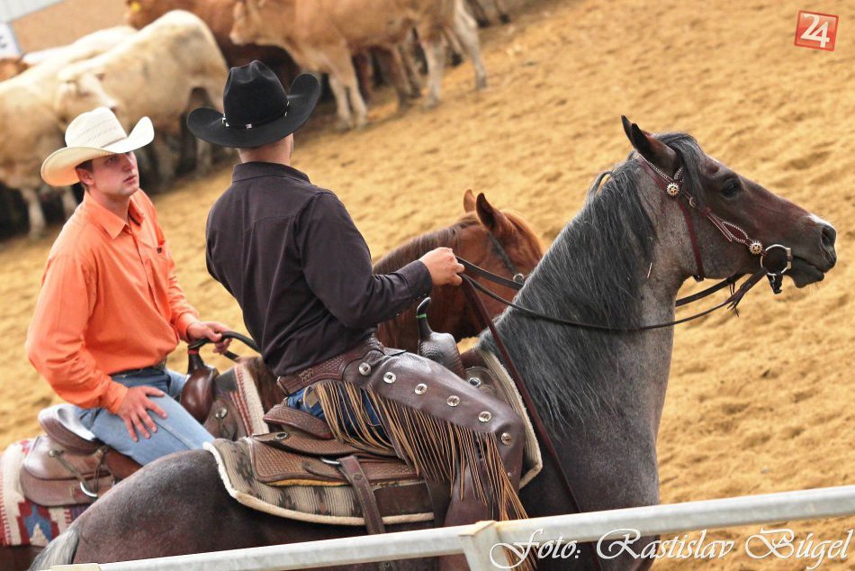 Kravy, kone a pravá westernová atmosféra: Neďaleko Nitry prebehlo finále medziná