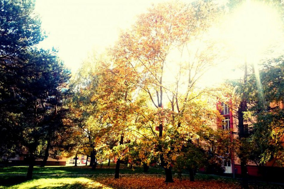 Jeseň v Prešove v obrazoch: Farebná nádhera v meste