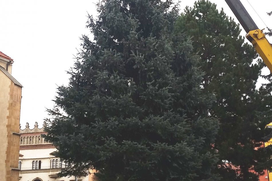 Vianočný stromček v Prešove: Už je na svojom mieste!