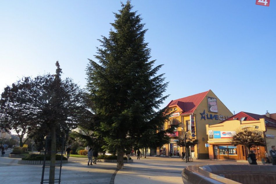 Vianočný stromček v Michalovciach: Už je na svojom mieste!