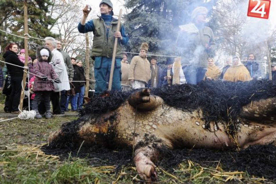Len pre silnejšie žalúdky: Takto vyzerá tradičná Zemplínska zabijačka