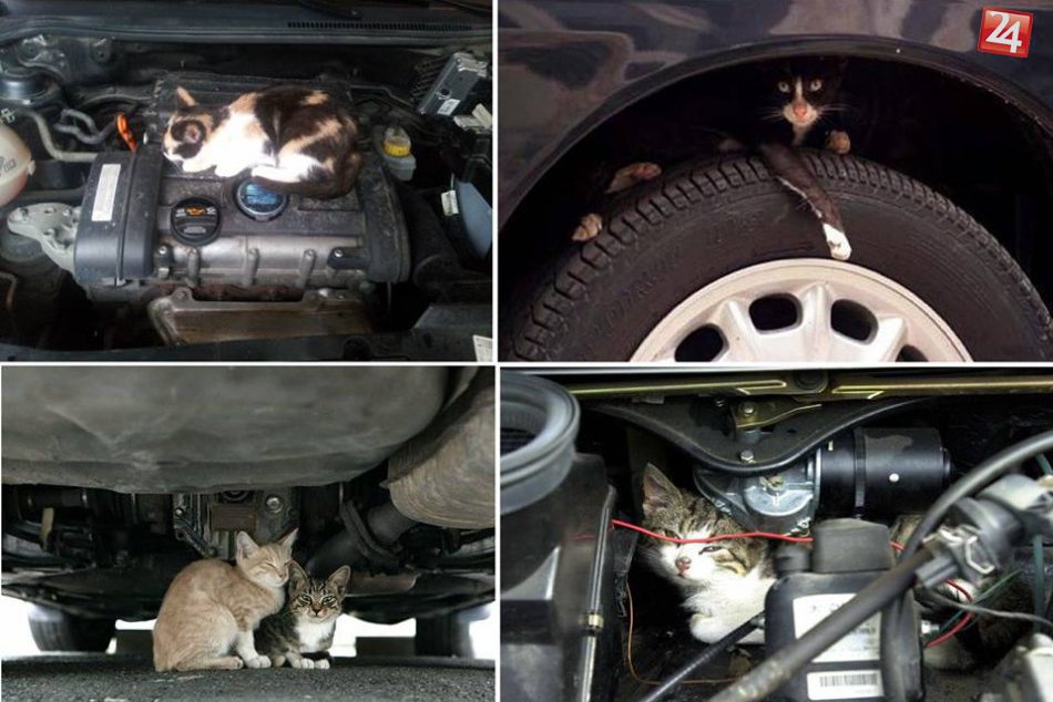 Rok 2015 v Michalovciach: Pripomeňme si 10 silných momentov