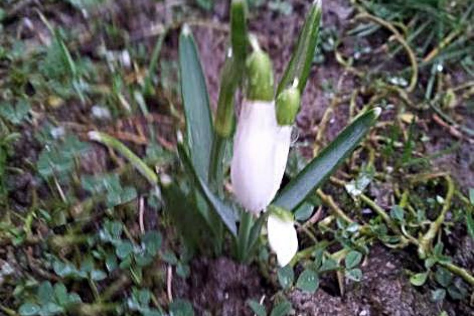 Obrazom: Dve tváre nášho regiónu