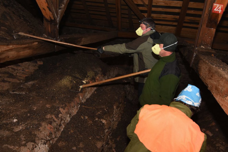Podkrovie kostola pri Poprade: S dobrovoľníkmi ho čistili od trusu netopierov