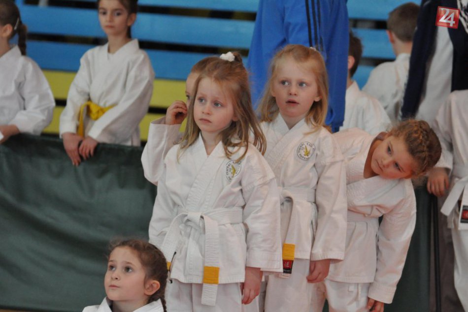 Spopod Kežmarského hradu si Central karate klub Poprad odniesol 40 medailí