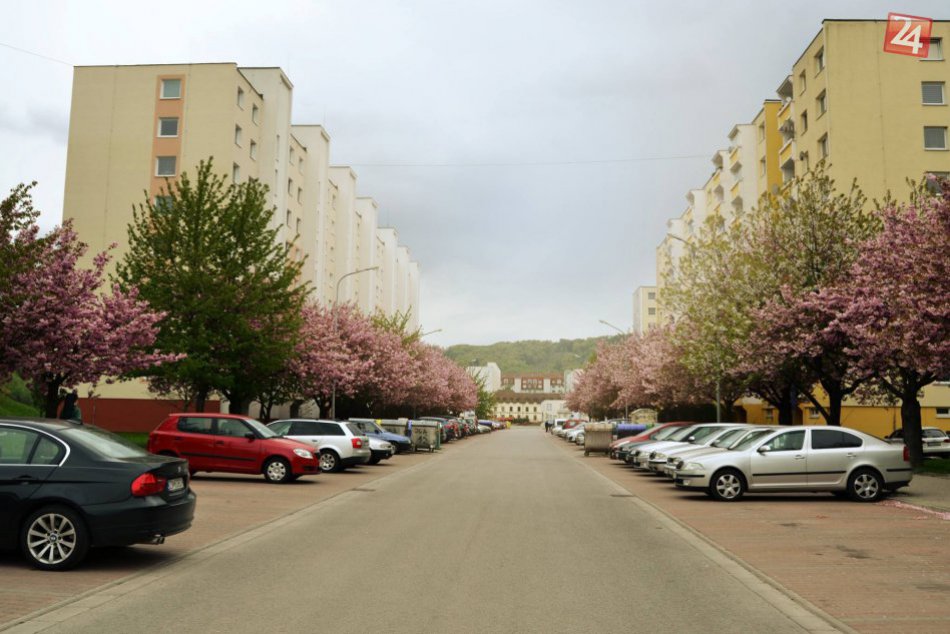 Nádherne rozkvitnutá ulica Alexandra Nográdyho na Západe