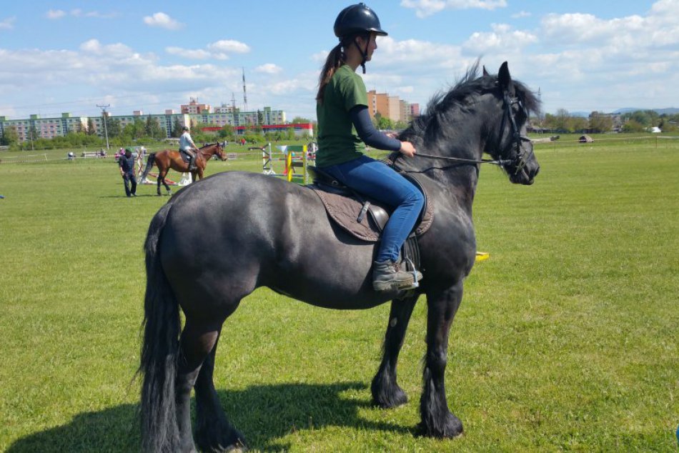FOTO: Silné kone v Lučenci počas Furmansko-remeselníckeho dňa