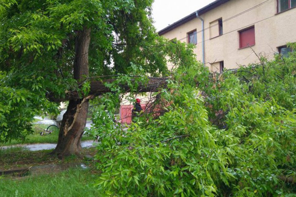 Kukučínova ulica v Humennom: Časť veľkého stromu spadla na auto