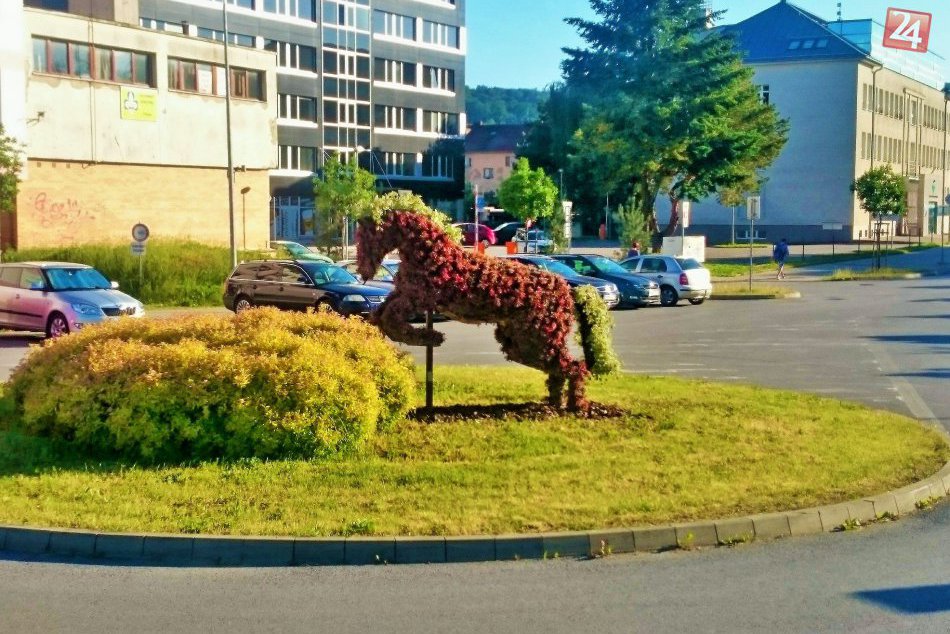 Kvetinový kôň v Prešove už nie je na Hlavnej: Novú lokalitu má na Kúpeľnej