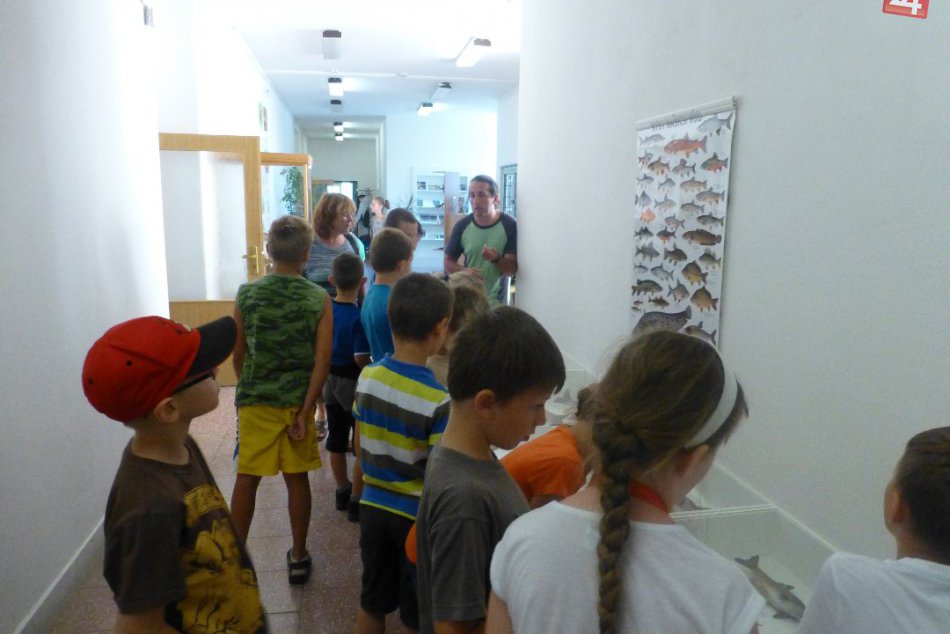 Deti vo Vlastivednom múzeu: Prázdninová prechádzka históriou a prírodou