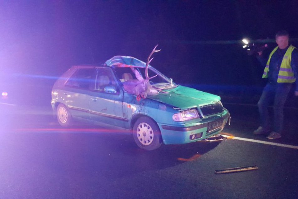 Obrazom: Zrážka s jeleňom pri Plešivci