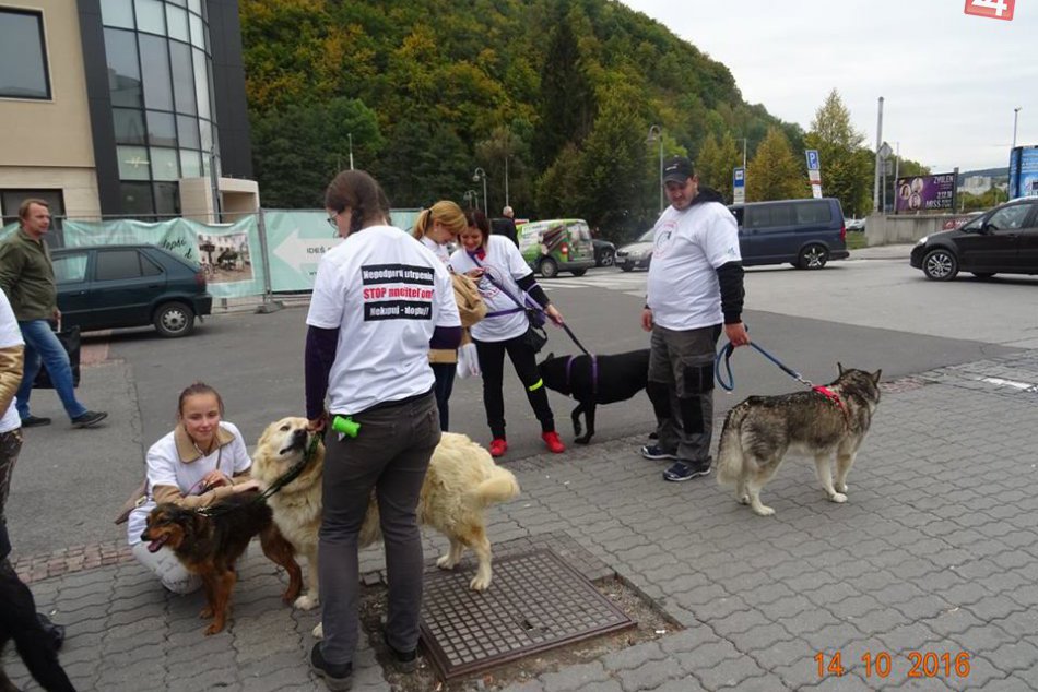 V OBRAZOCH: Veľkých pochod psíčkarov v centre Bystrice