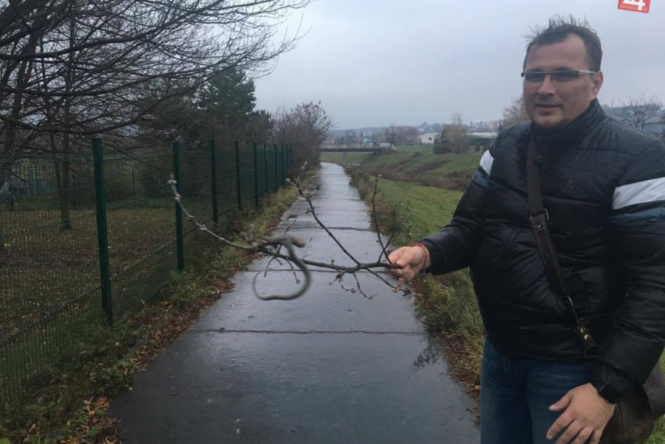 Zaujímavý zážitok počas prechádzky: Prešovčan našiel pri Toryse hada
