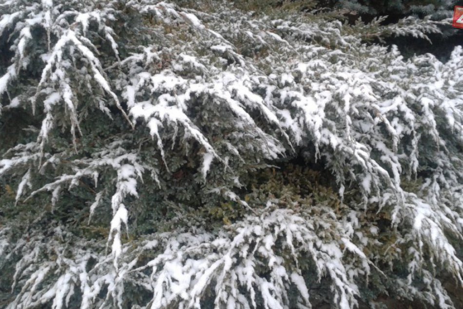 Prvá snehová nádielka v Považskej: Ako to ráno vyzeralo?