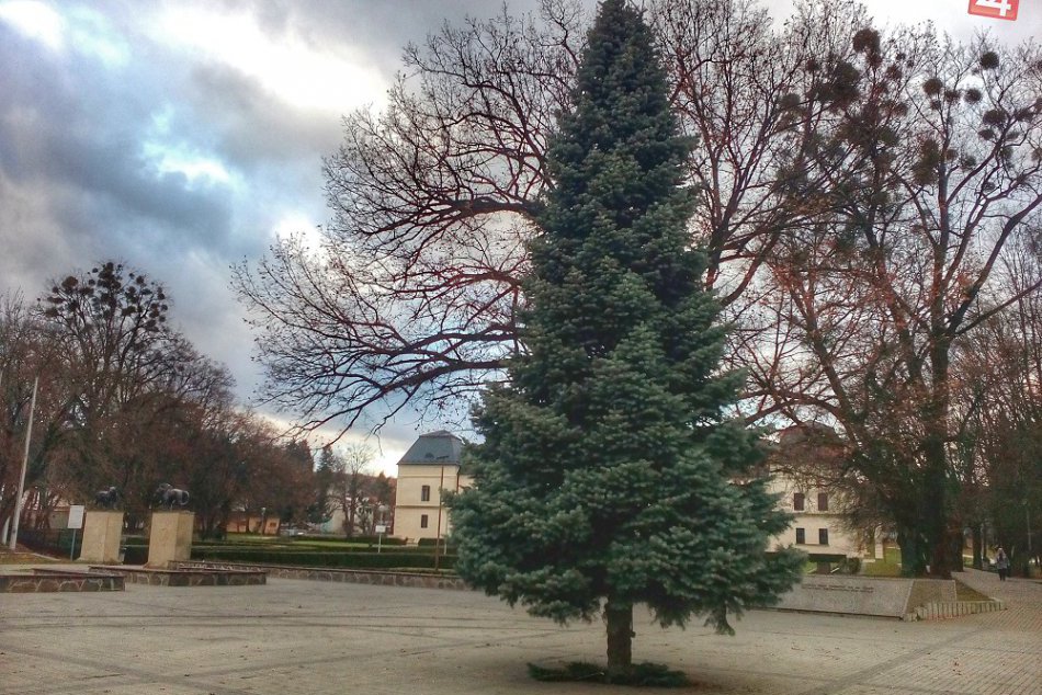 Toto je on: Tohtoročný vianočný strom na humenskom námestí