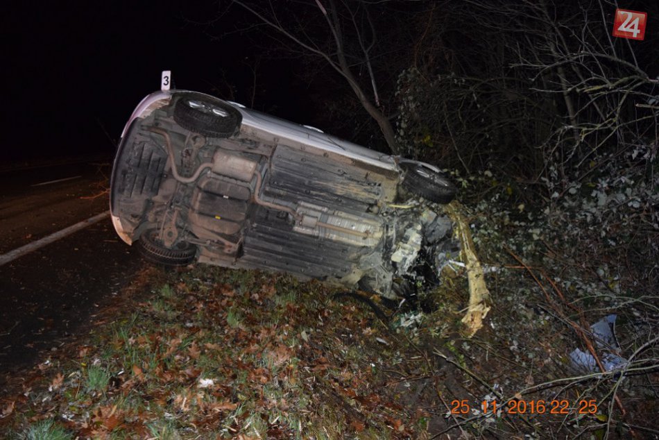 OBRAZOM: Auto značky Hyundai narazilo do stromu