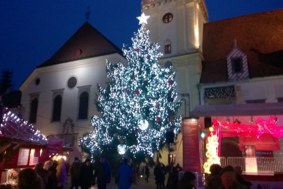 Vianočné stromčeky Bratislava
