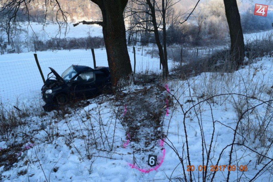 V OBRAZOCH: Auto narazilo do stromu neďaleko Lučenca, vodič zomrel