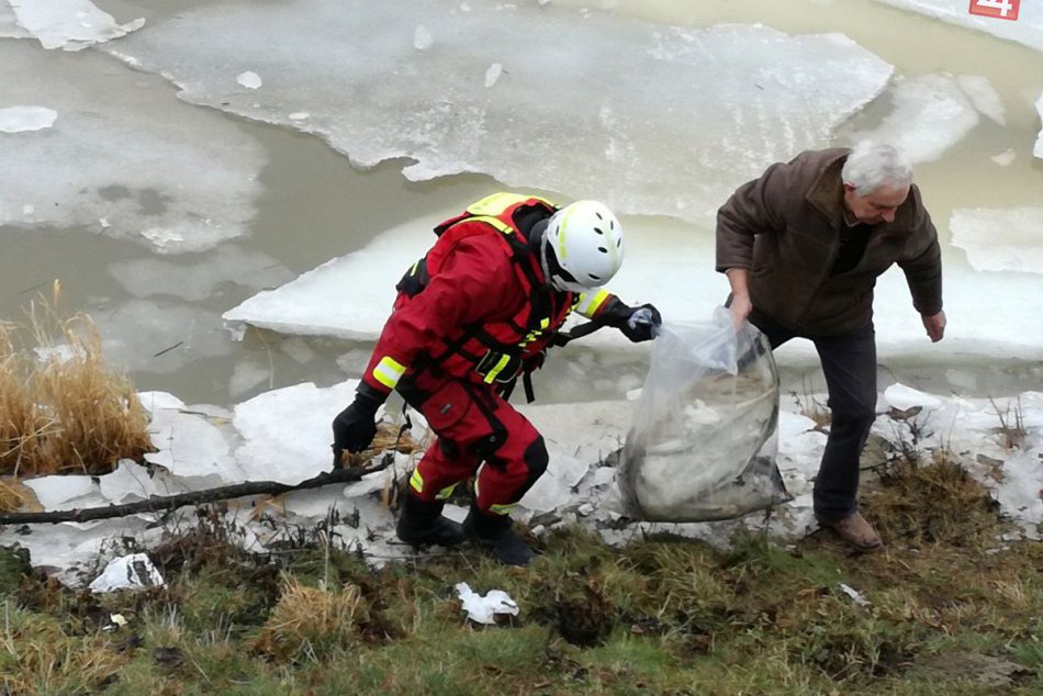 FOTO: Zásah hasičov na zamrznutej rieke Nitra, z vody vyťahovali mŕtve vtáky