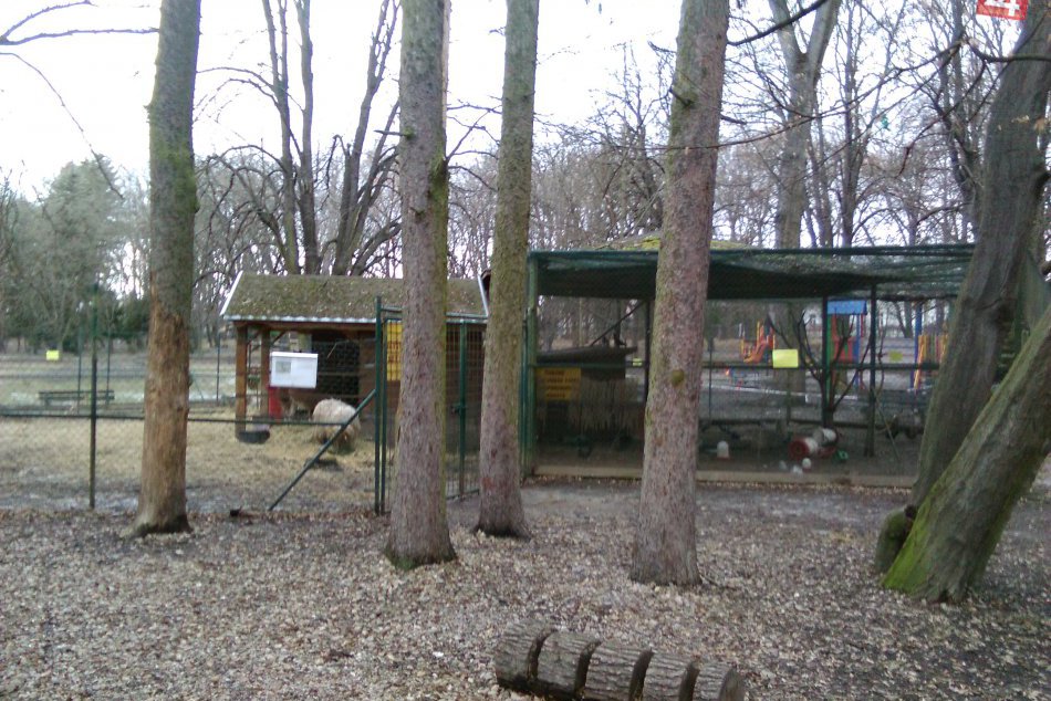 V OBRAZOCH: Minizoo je jednou z atrakcií lučeneckého parku