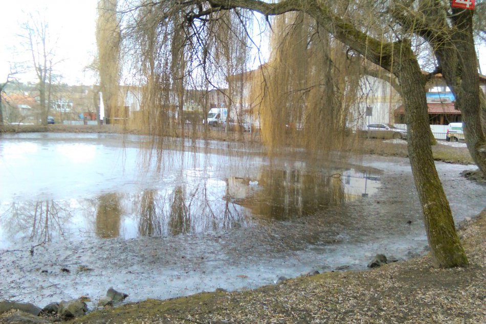V OBRAZOCH: Hladina jazierka v parku býva koncom zimy nižšia