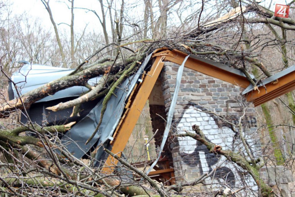 FOTO: Spadnutý strom narobil paseku. Zničil prístrešok pri Svoradovom prameni