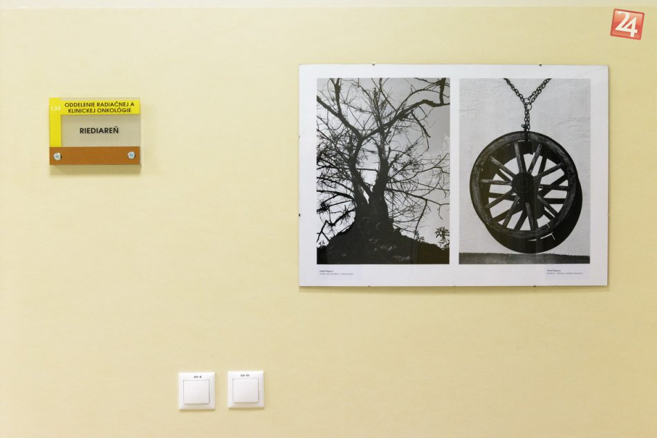 Výtvarné diela umelcov z Mojmíroviec vo FN v Nitre