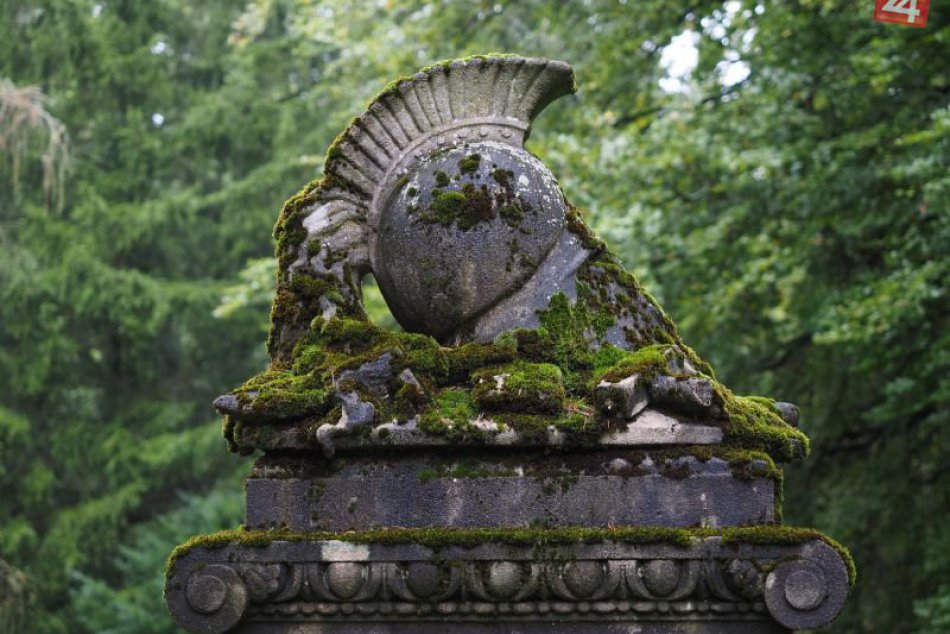 SVET O SLOVENSKU: Cintoríny sú plné vzácneho života