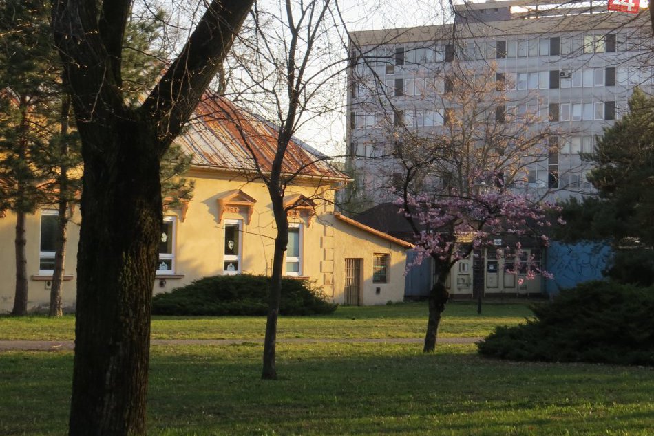 Jar nášmu mestu pridala na kráse: 10 fotiek z Michaloviec ako dôkaz