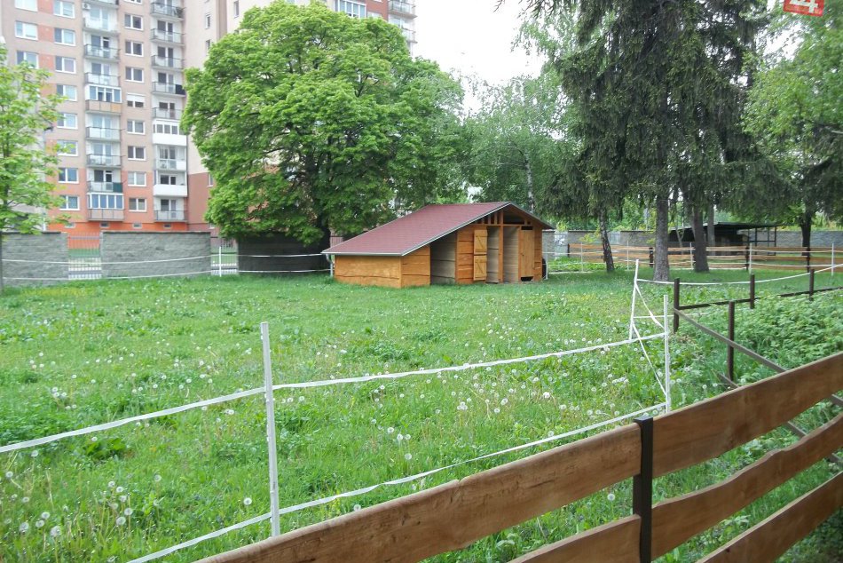 Babičkin dvor má prvých obyvateľov: V parku to začína žiť