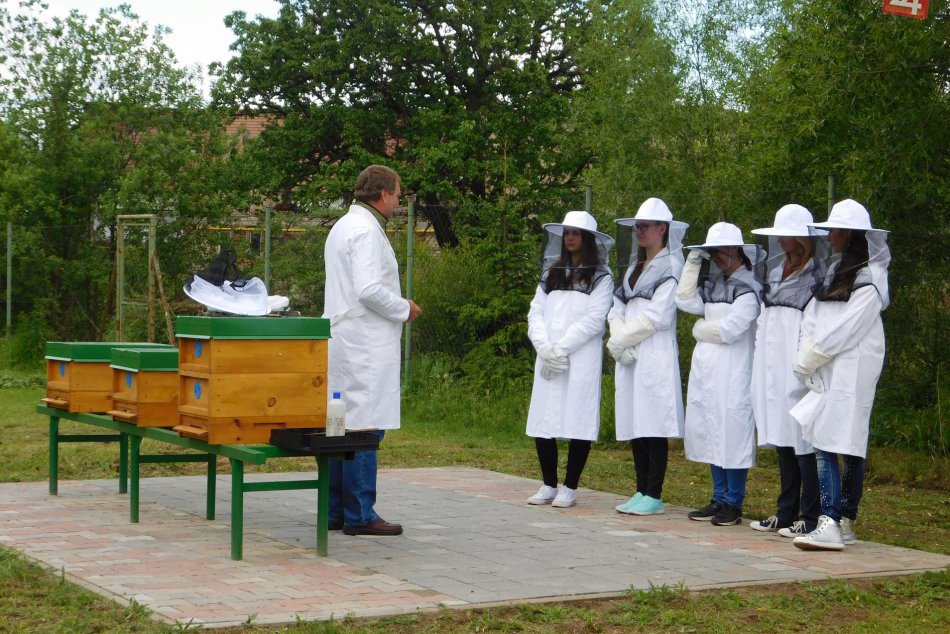 Novinka v obrazoch: V areáli školy v Spišskej začali chovať zhruba 150 000 včiel