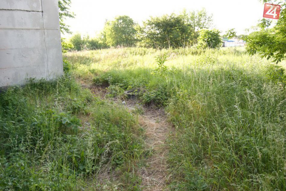 Vražda v Želiezovciach, máj 2017