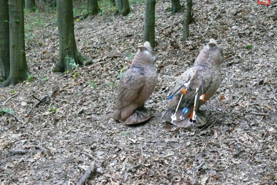 Obrazom: Stredoslovenský pohár v lukostreľbe